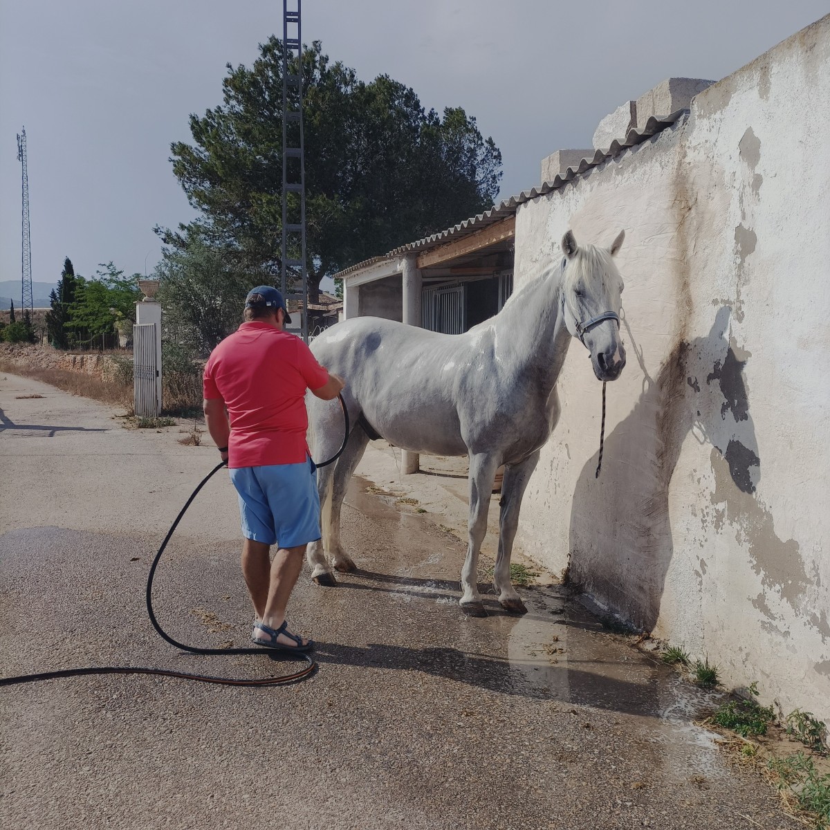 Finca for sale in Monóvarmonóver, Alicante, Spain