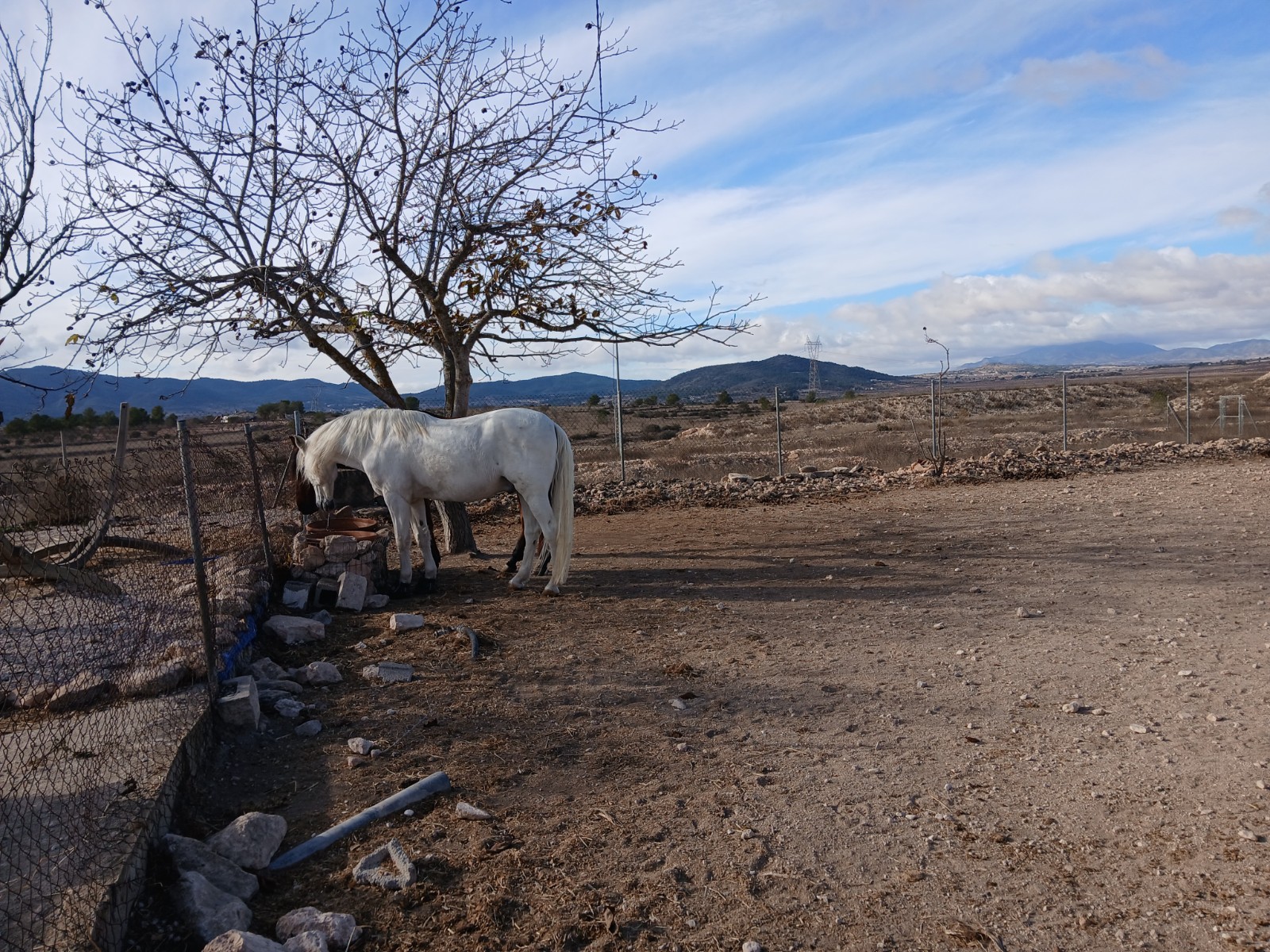 Finca for sale in Monóvarmonóver, Alicante, Spain
