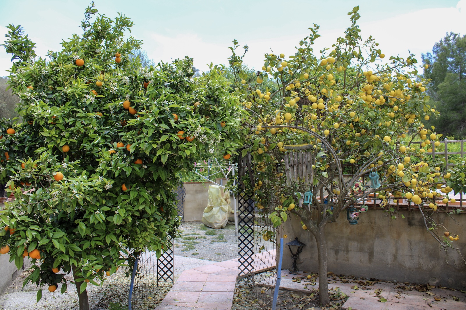 Villa en venta en La Gorgoracha