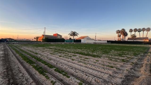 Finca en venta en Dolores