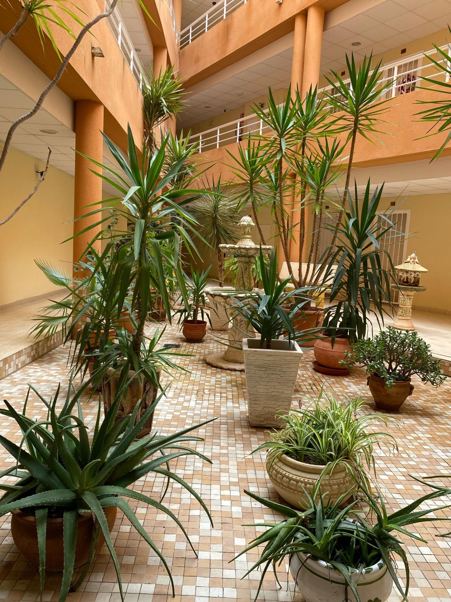 Apartment for sale in San Miguel De Salinas, Alicante, Spain