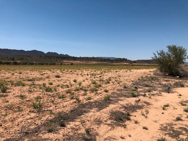 Finca for sale in Yecla, Murcia, Spain