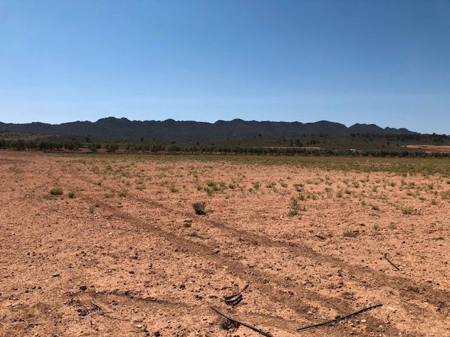 Finca for sale in Yecla, Murcia, Spain