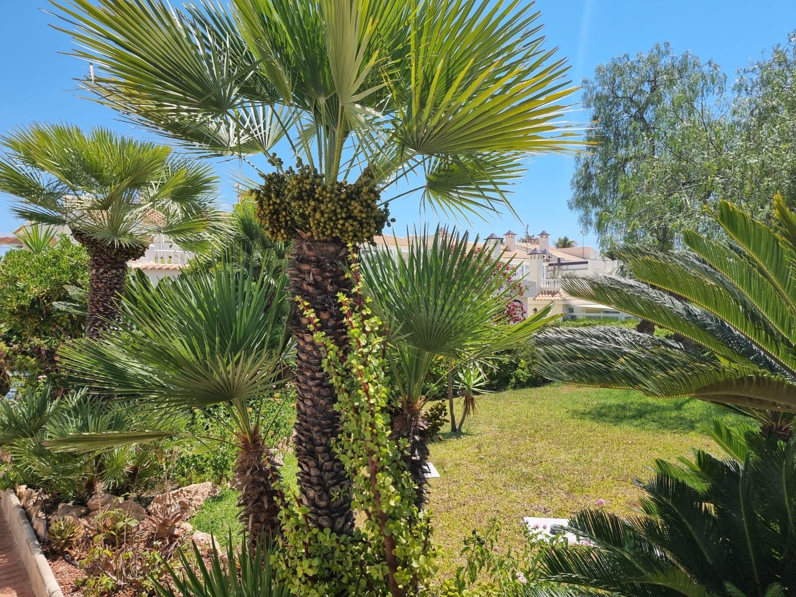 Piso en venta en Torrevieja