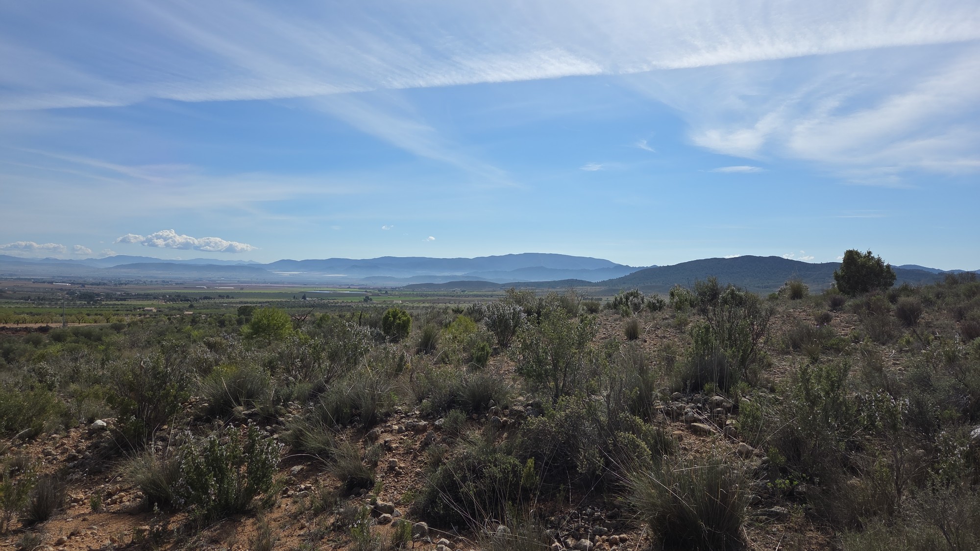 Finca en venta en Yecla