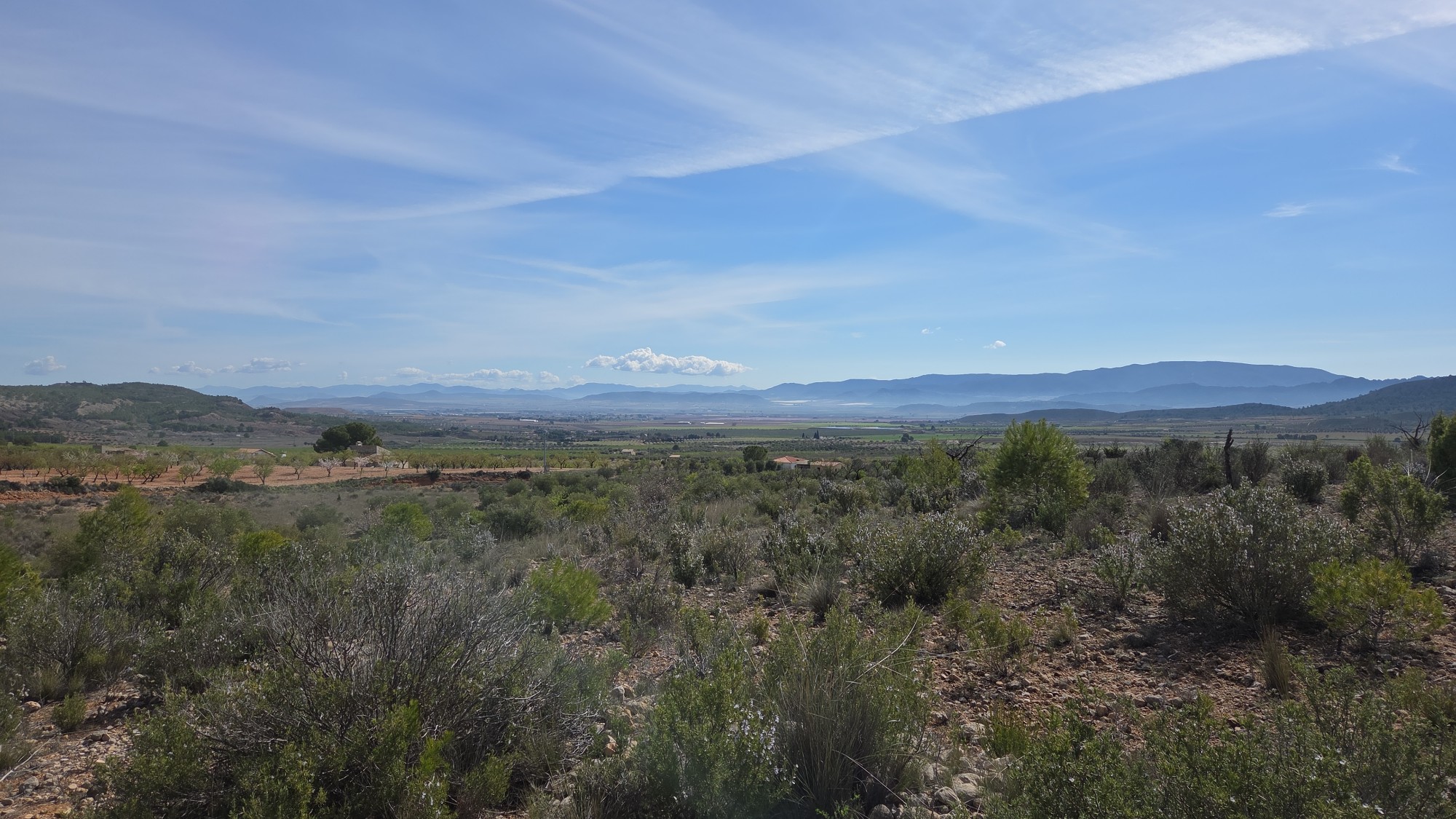 Finca en venta en Yecla