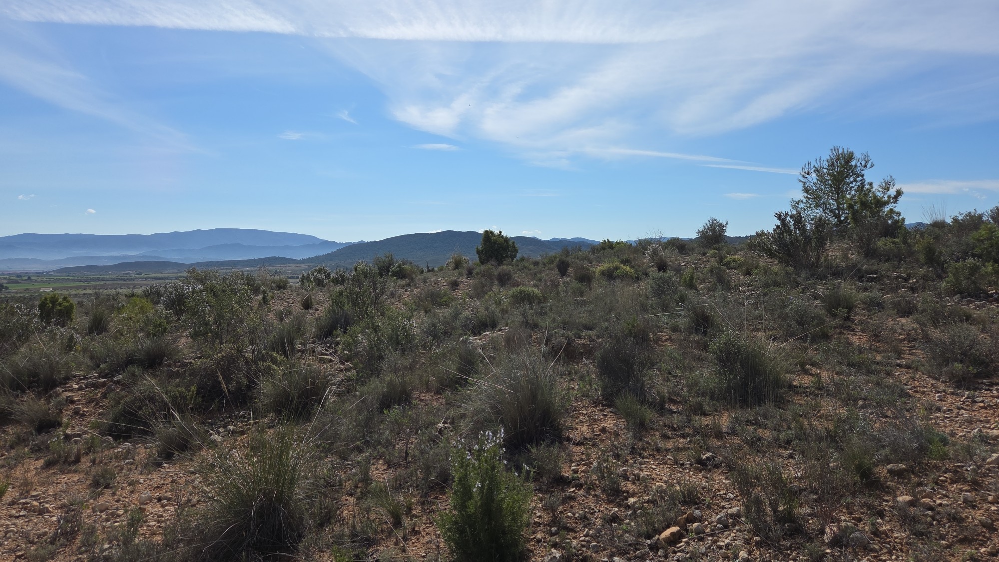 Finca en venta en Yecla