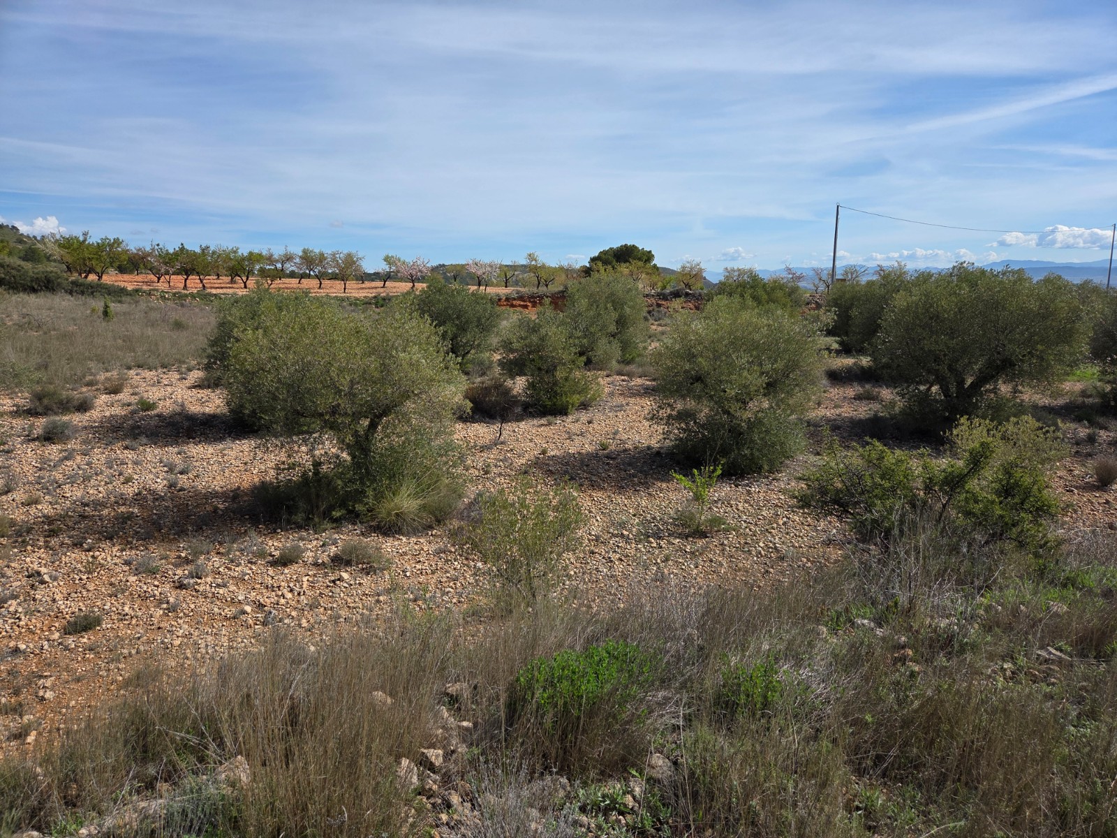 Finca en venta en Yecla