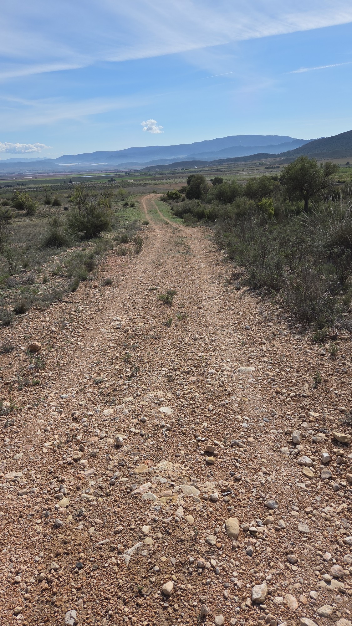 Finca en venta en Yecla