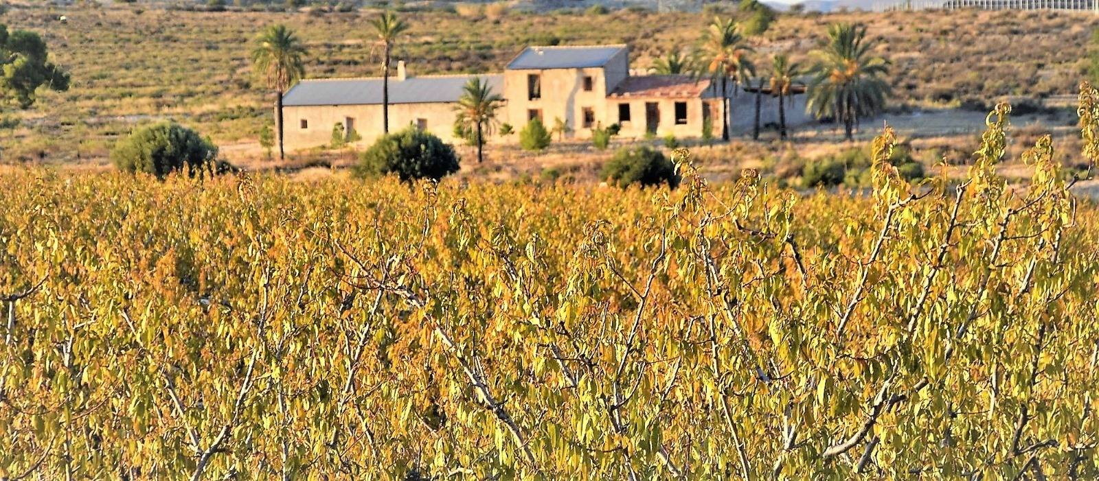 Finca en venta en Las Torres De Cotillas