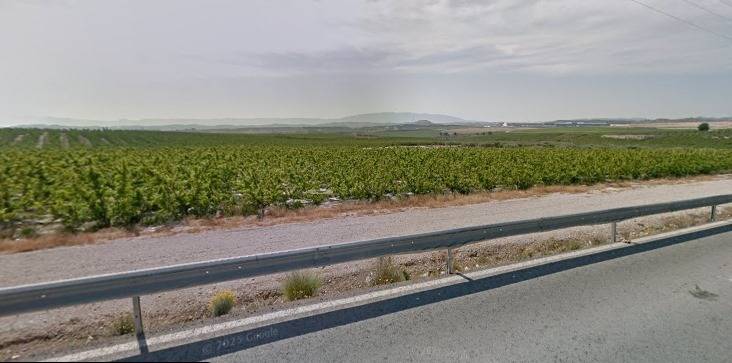 Finca en venta en Las Torres De Cotillas