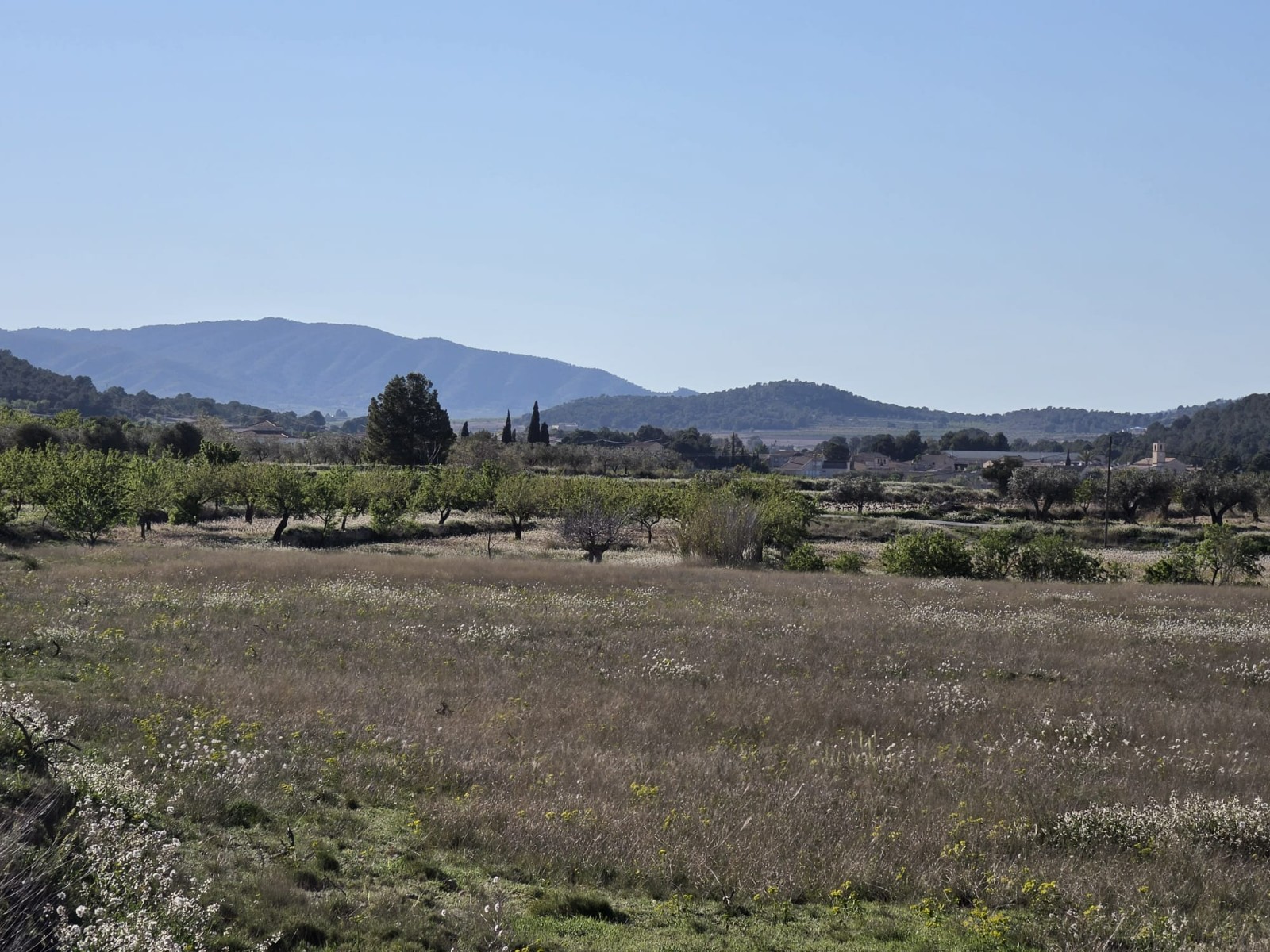 Finca for sale in Monóvarmonóver, Alicante, Spain