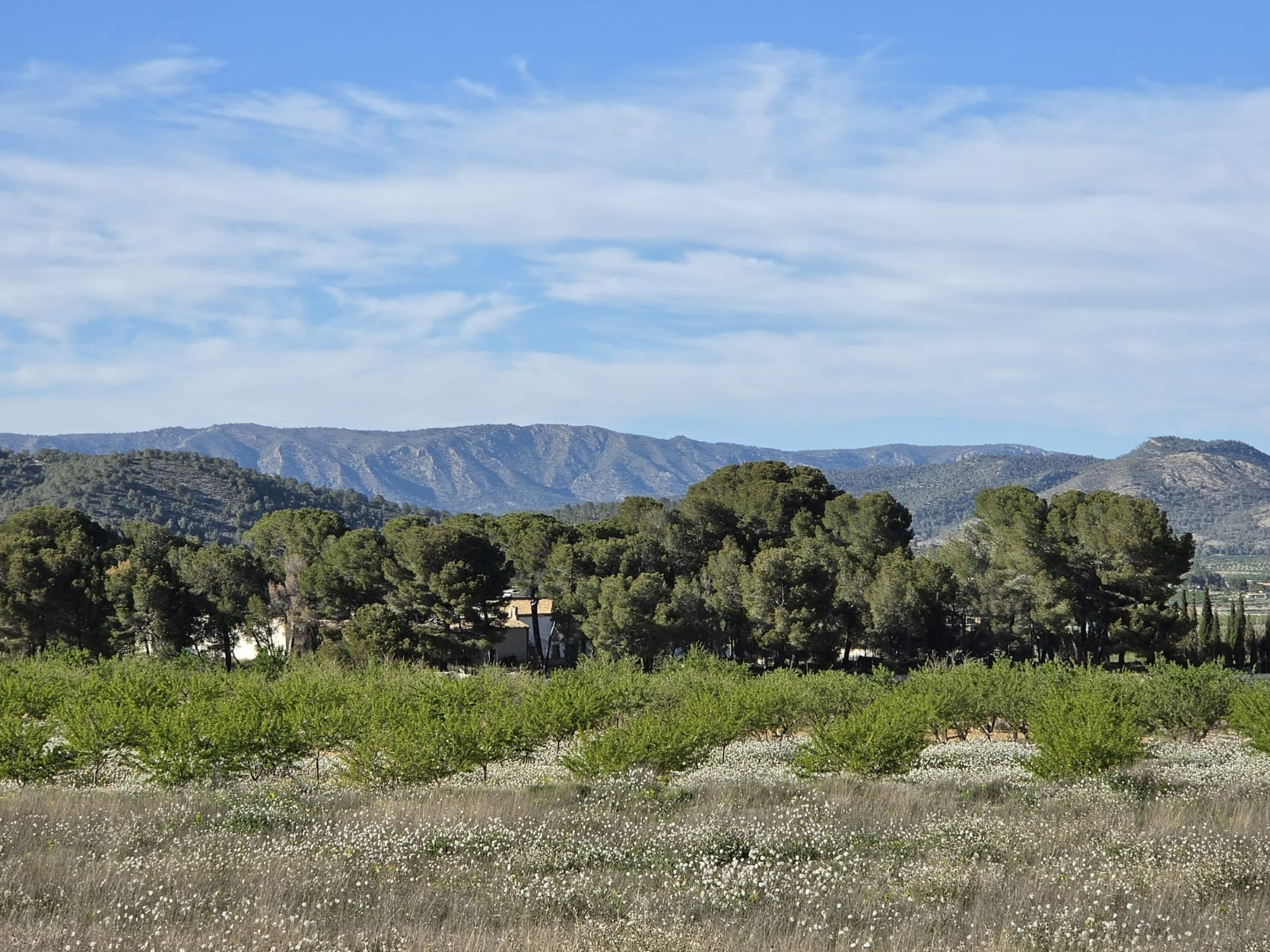 Finca for sale in Monóvarmonóver, Alicante, Spain