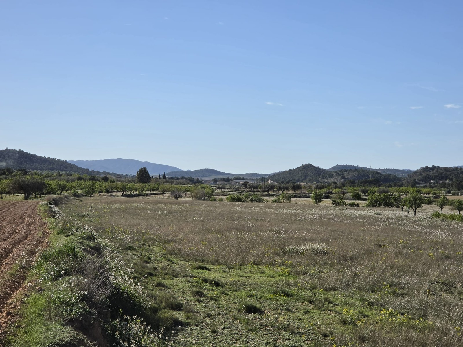 Finca for sale in Monóvarmonóver, Alicante, Spain