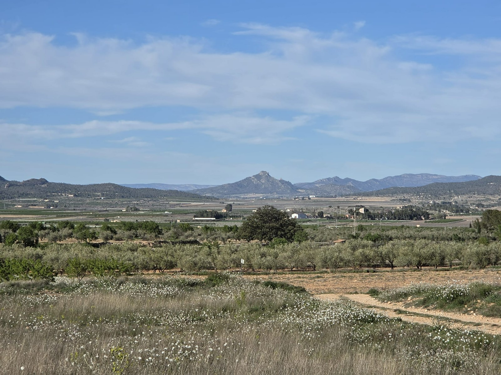 Finca for sale in Monóvarmonóver, Alicante, Spain