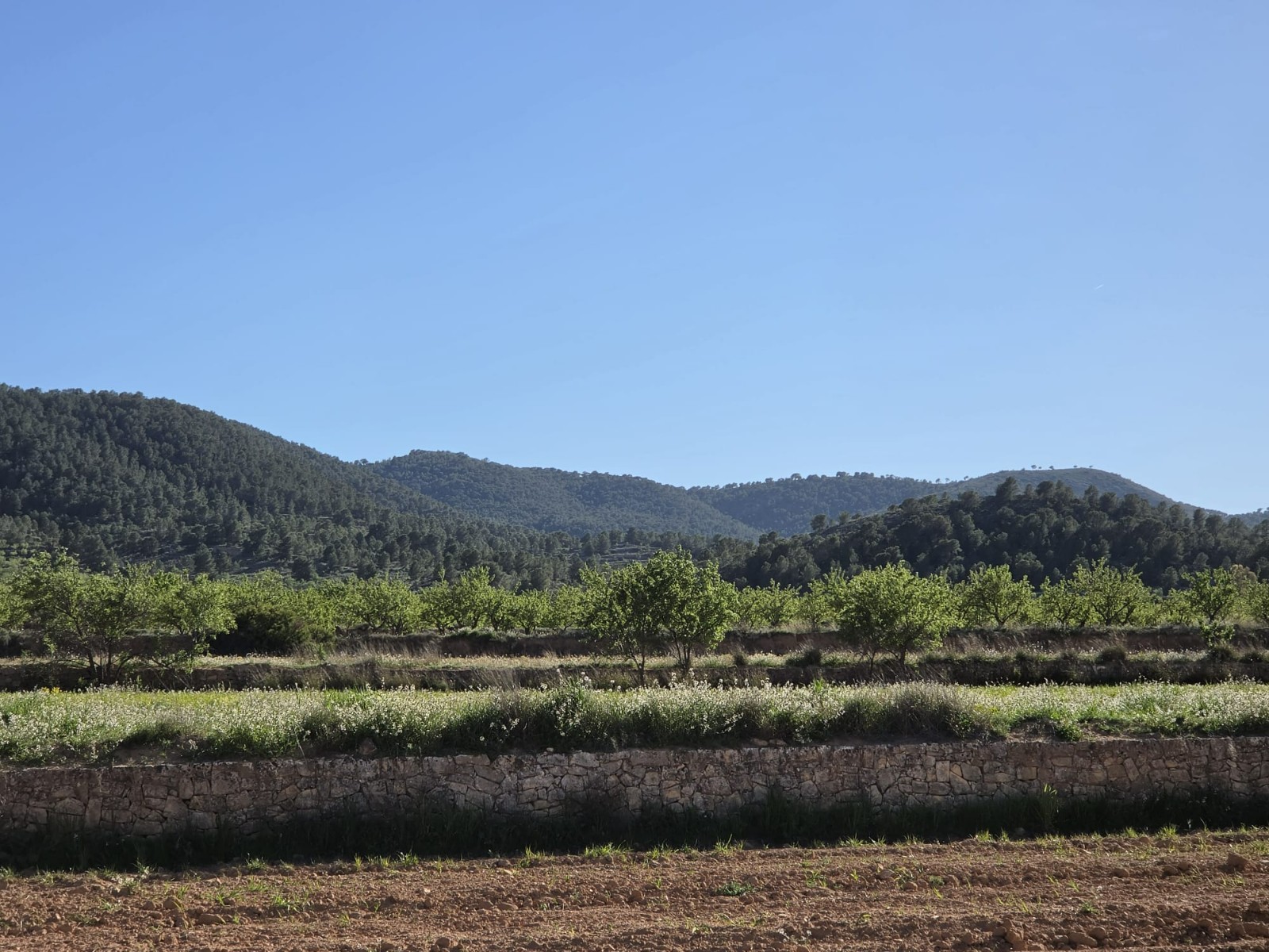 Finca for sale in Monóvarmonóver, Alicante, Spain