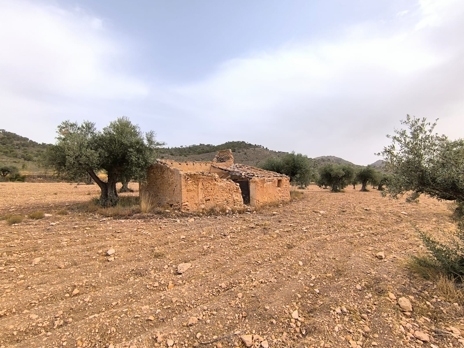 Finca en venta en Yecla