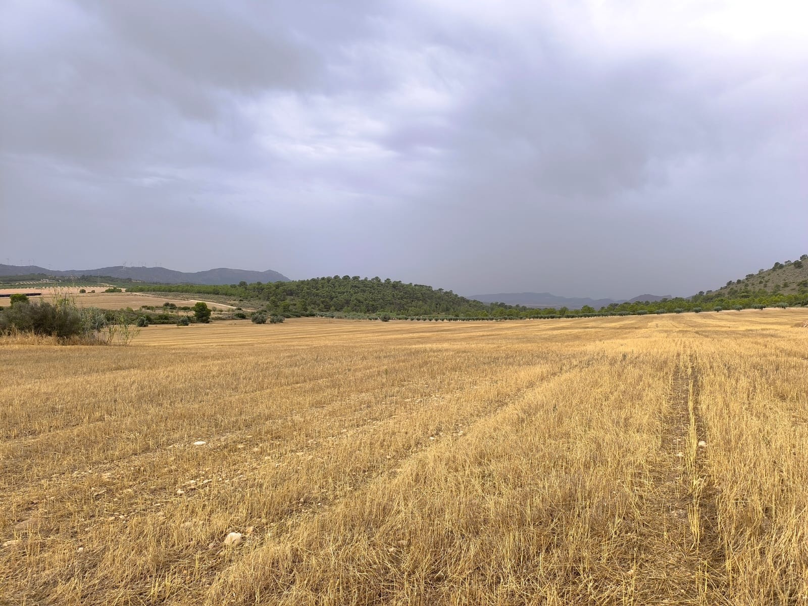 Finca en venta en Yecla
