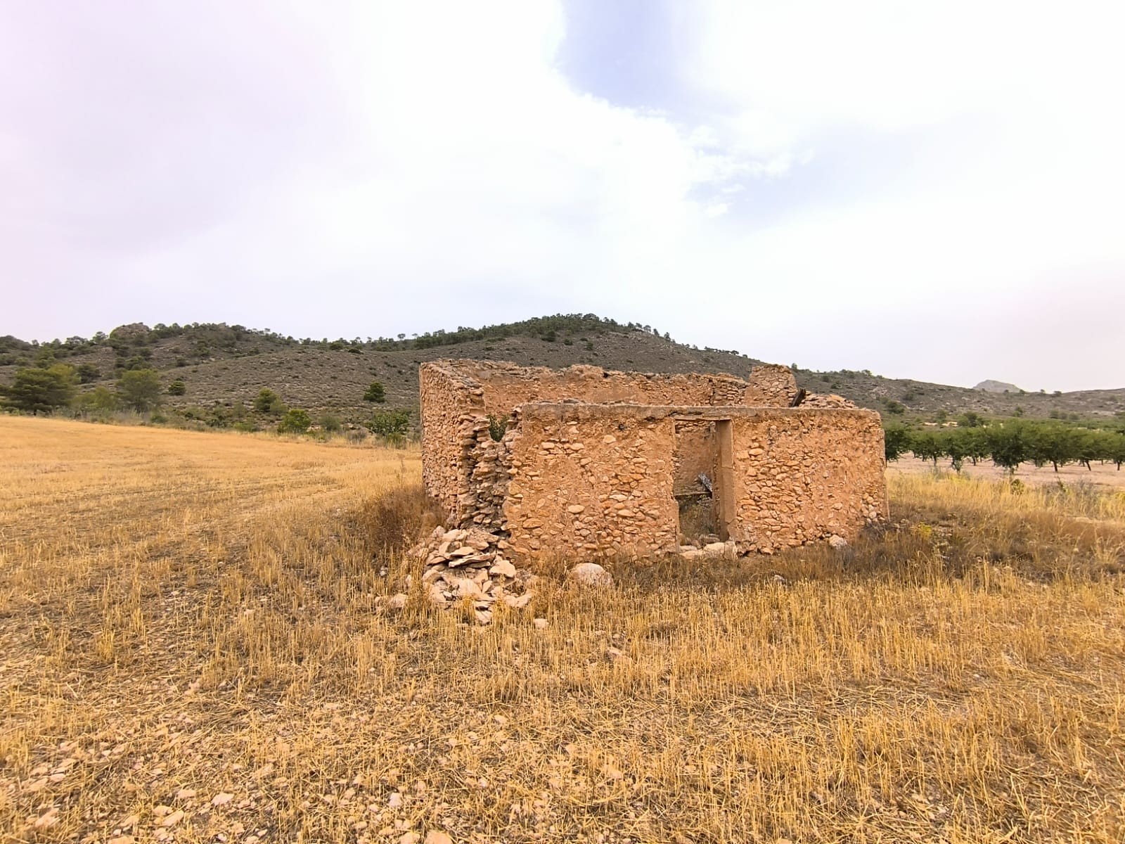 Finca en venta en Yecla