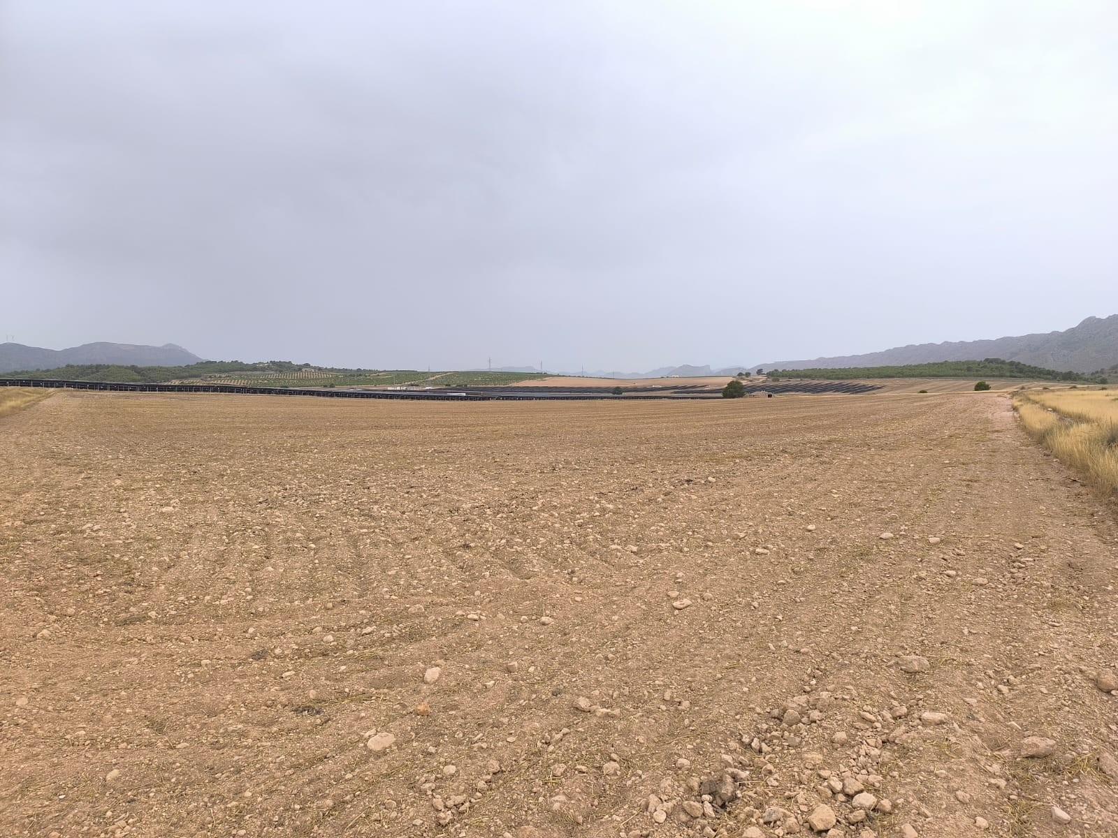 Finca en venta en Yecla