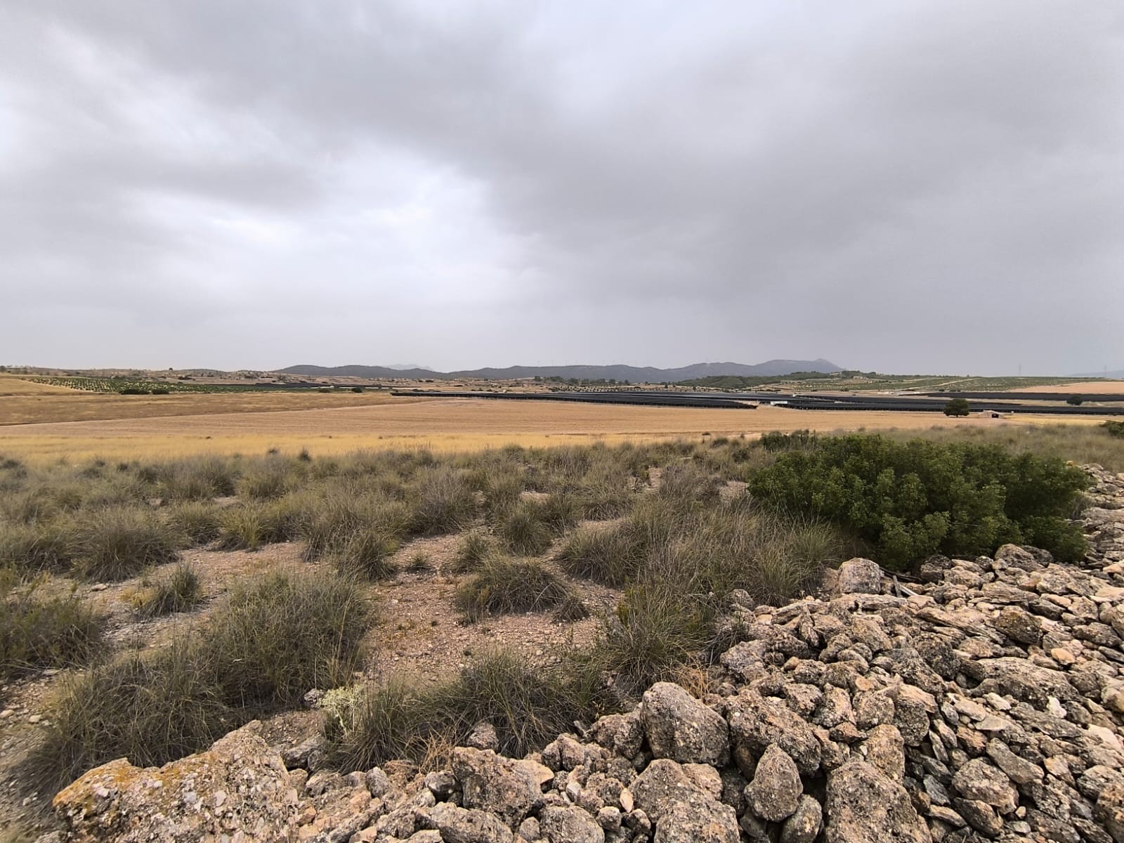 Finca en venta en Yecla