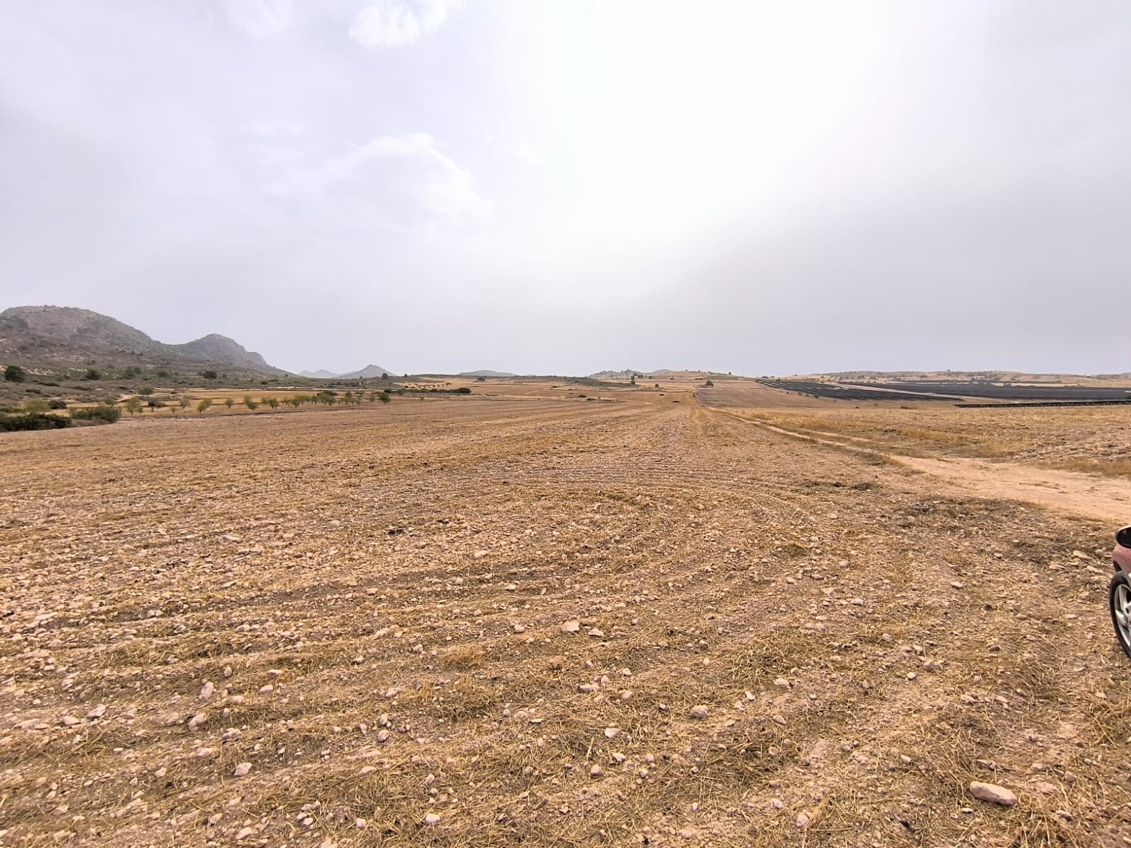 Finca en venta en Yecla