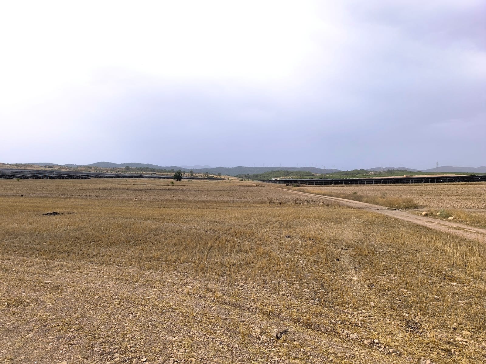 Finca en venta en Yecla