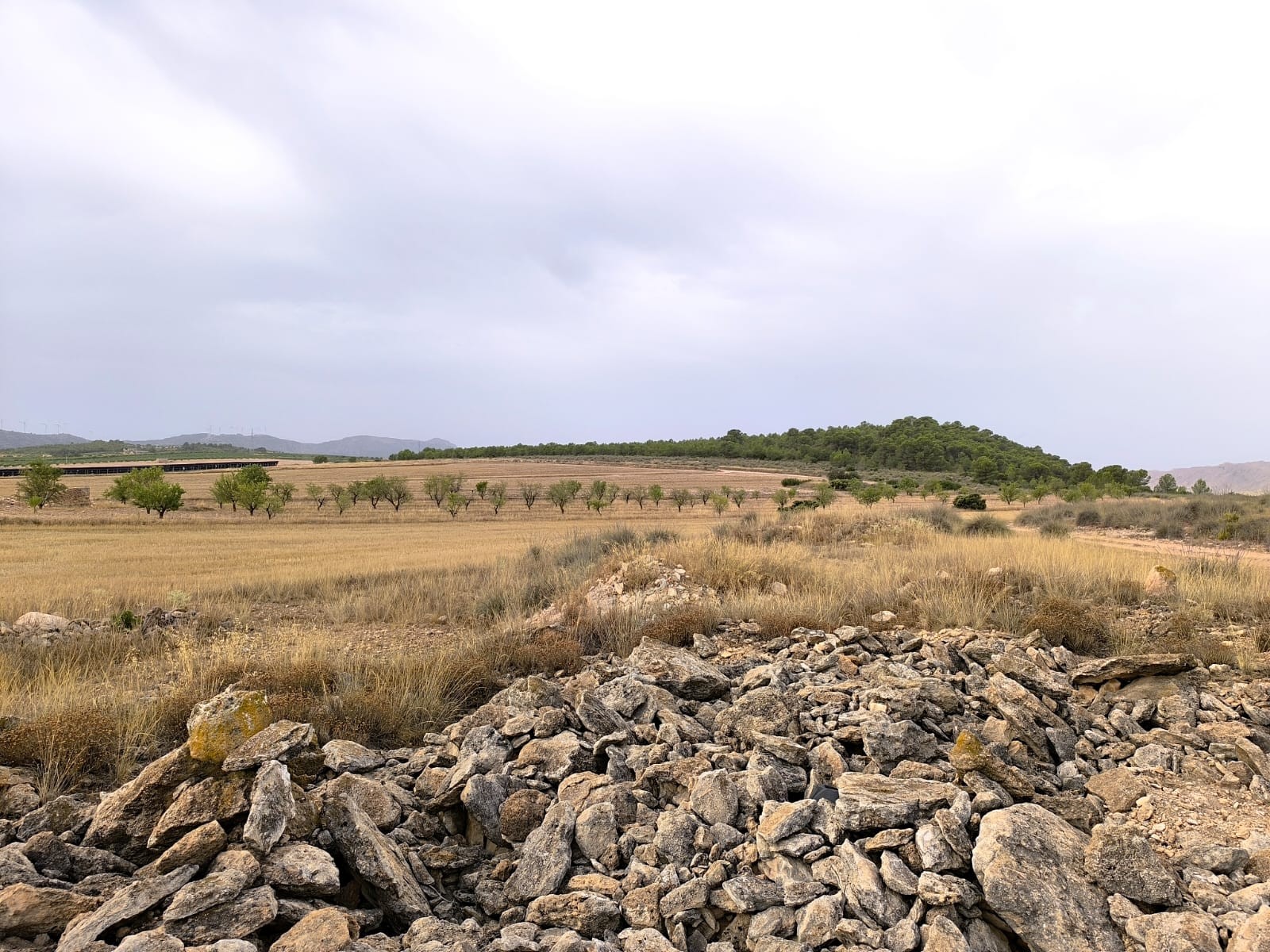 Finca en venta en Yecla
