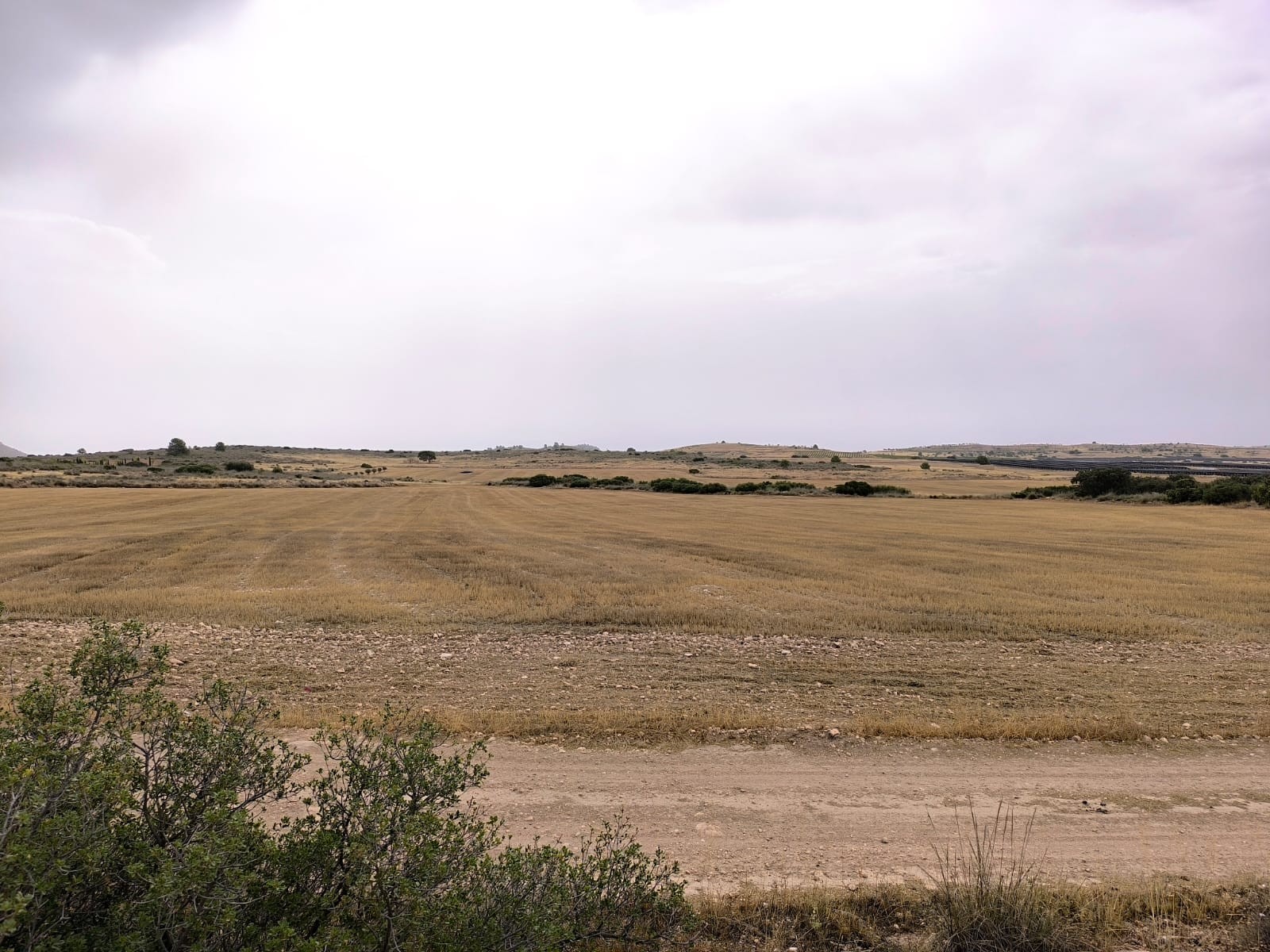 Finca en venta en Yecla