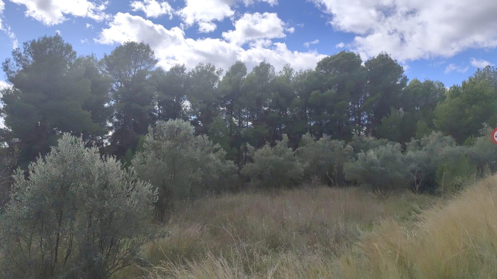 Finca for sale in Moratalla, Murcia, Spain