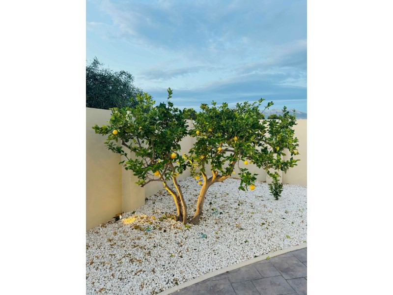 Villa en venta en Alfas Del Pi