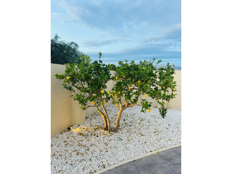 Villa en venta en Alfas Del Pi