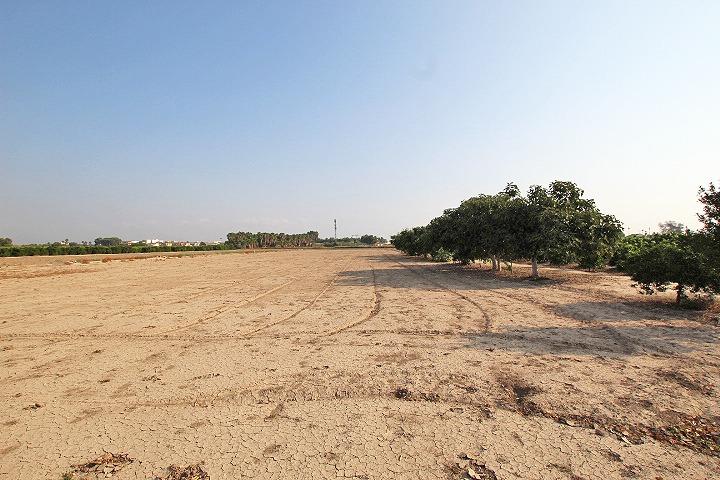 Finca en venta en Daya Nueva