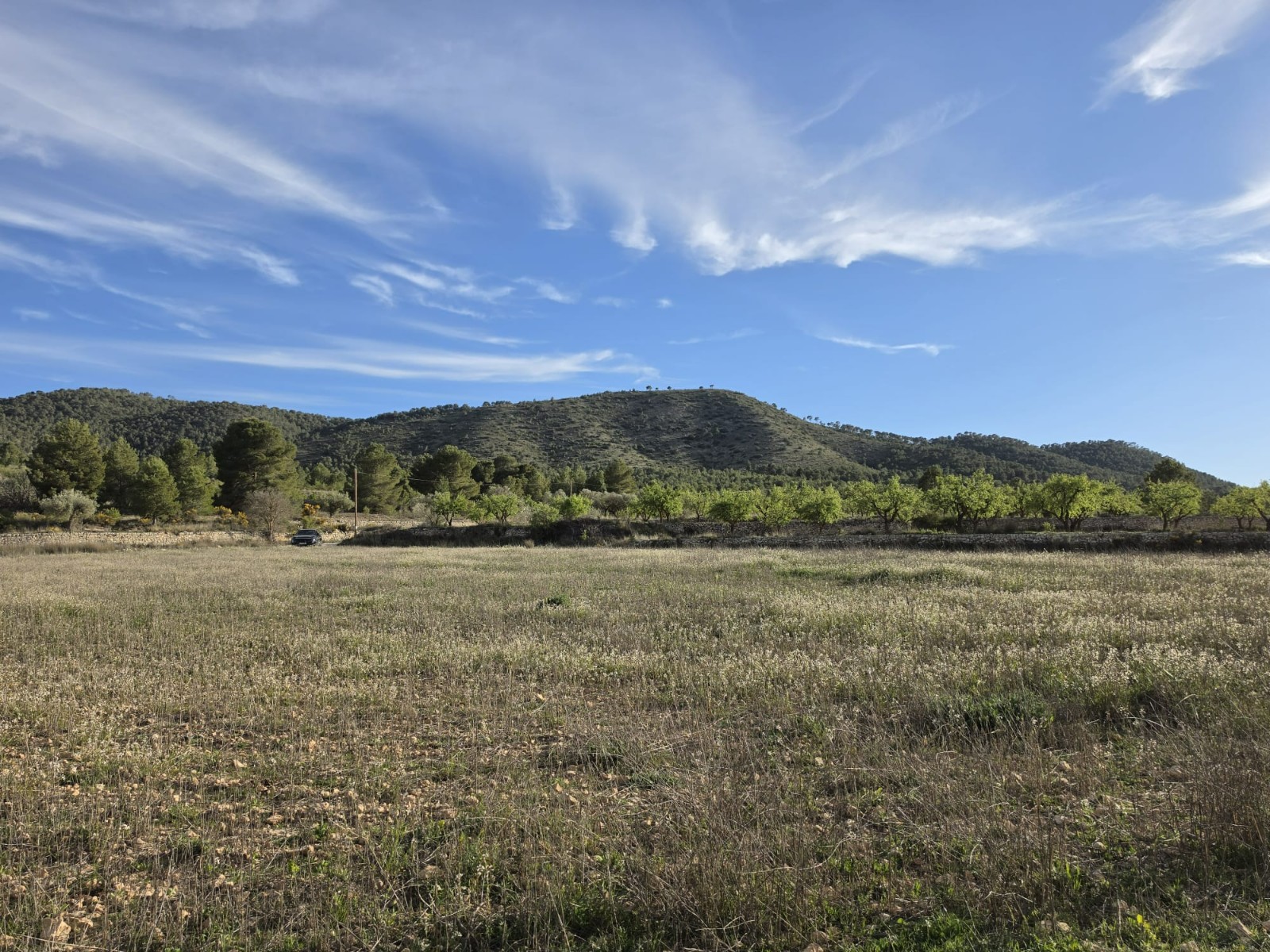 Finca for sale in Monóvarmonóver, Alicante, Spain