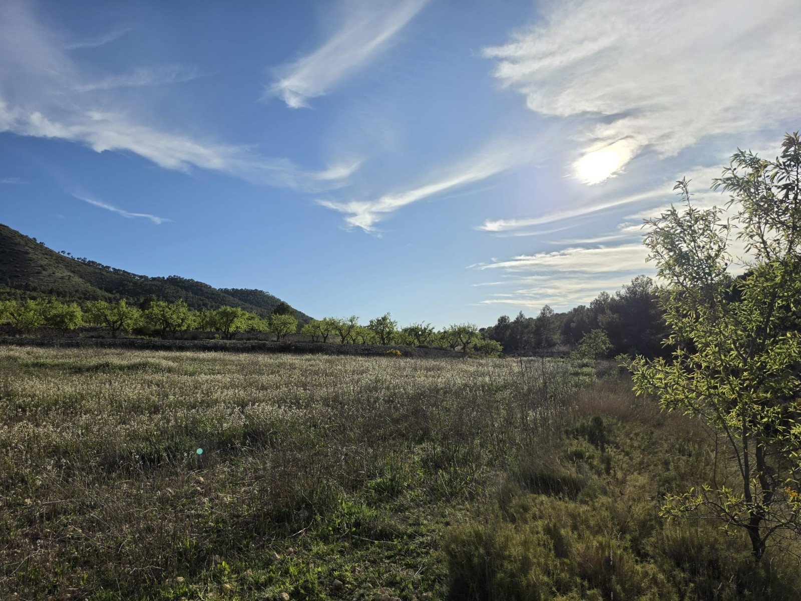 Finca en venta en Monóvarmonóver