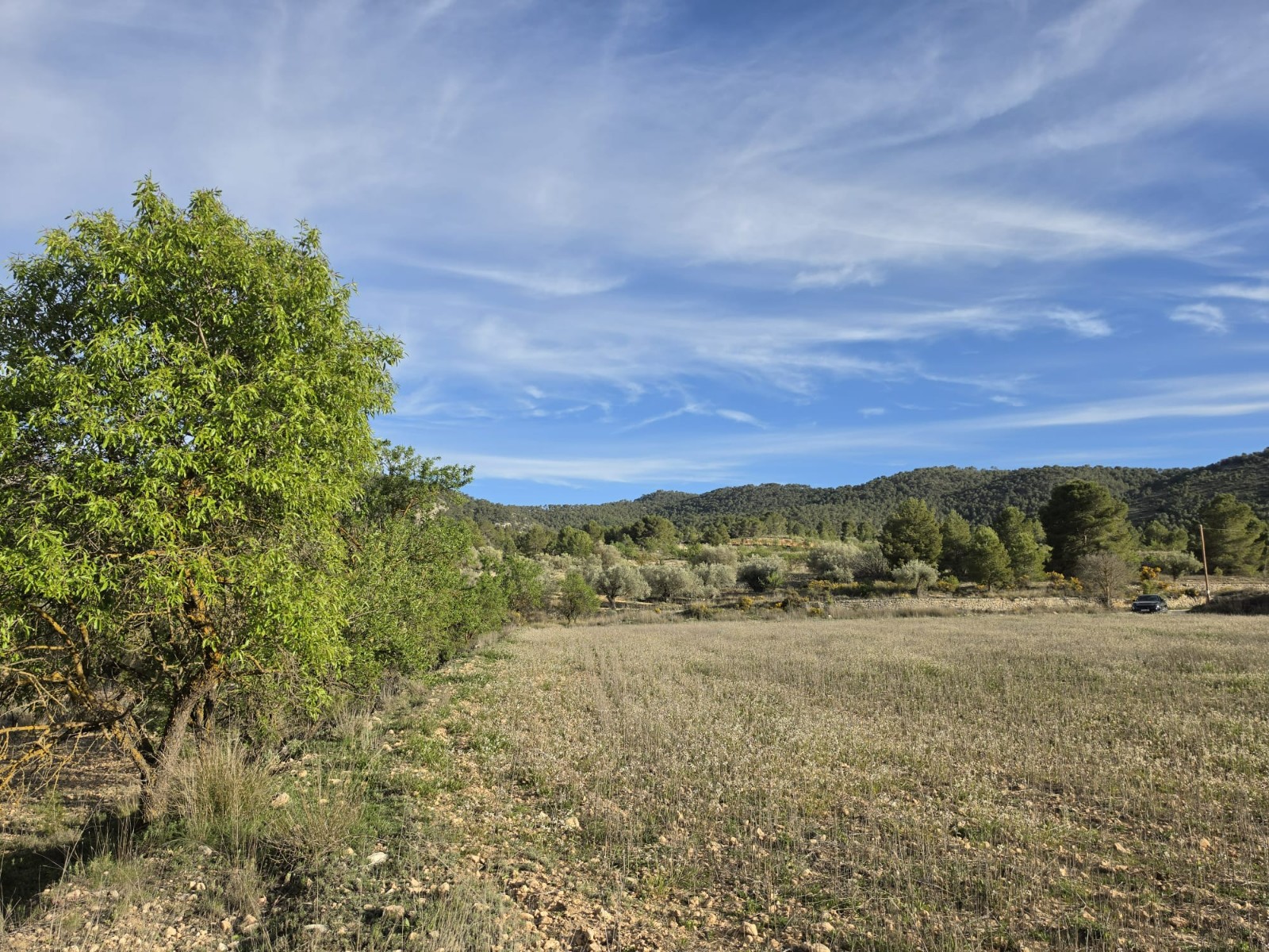 Finca en venta en Monóvarmonóver
