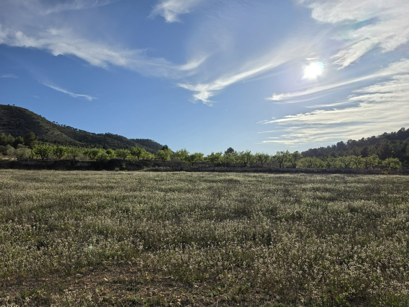 Finca en venta en Monóvarmonóver