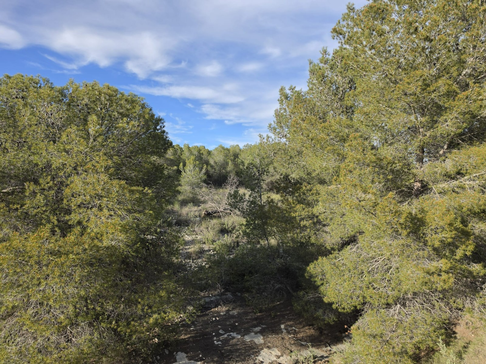 Finca en venta en Monóvarmonóver
