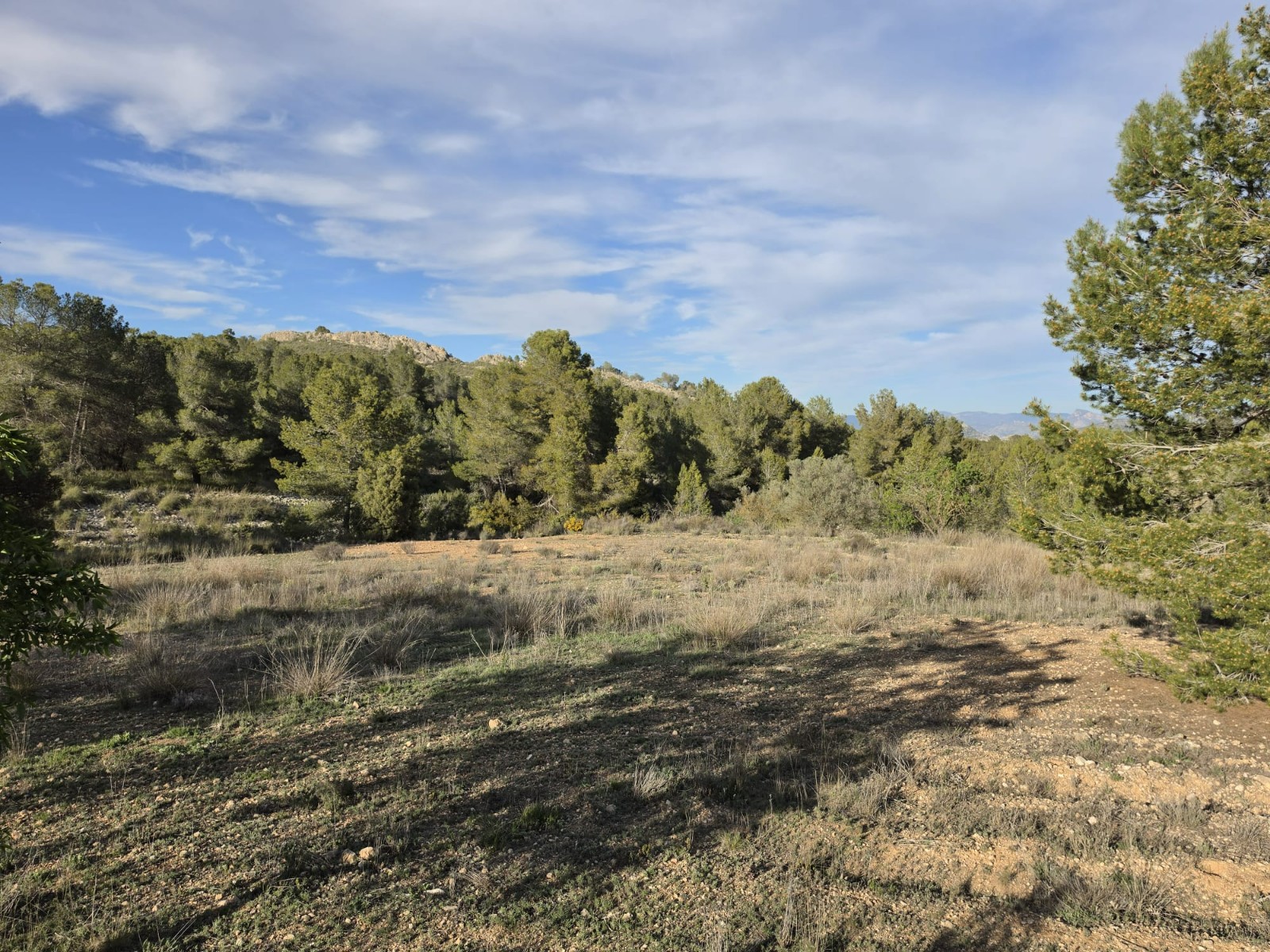 Finca en venta en Monóvarmonóver