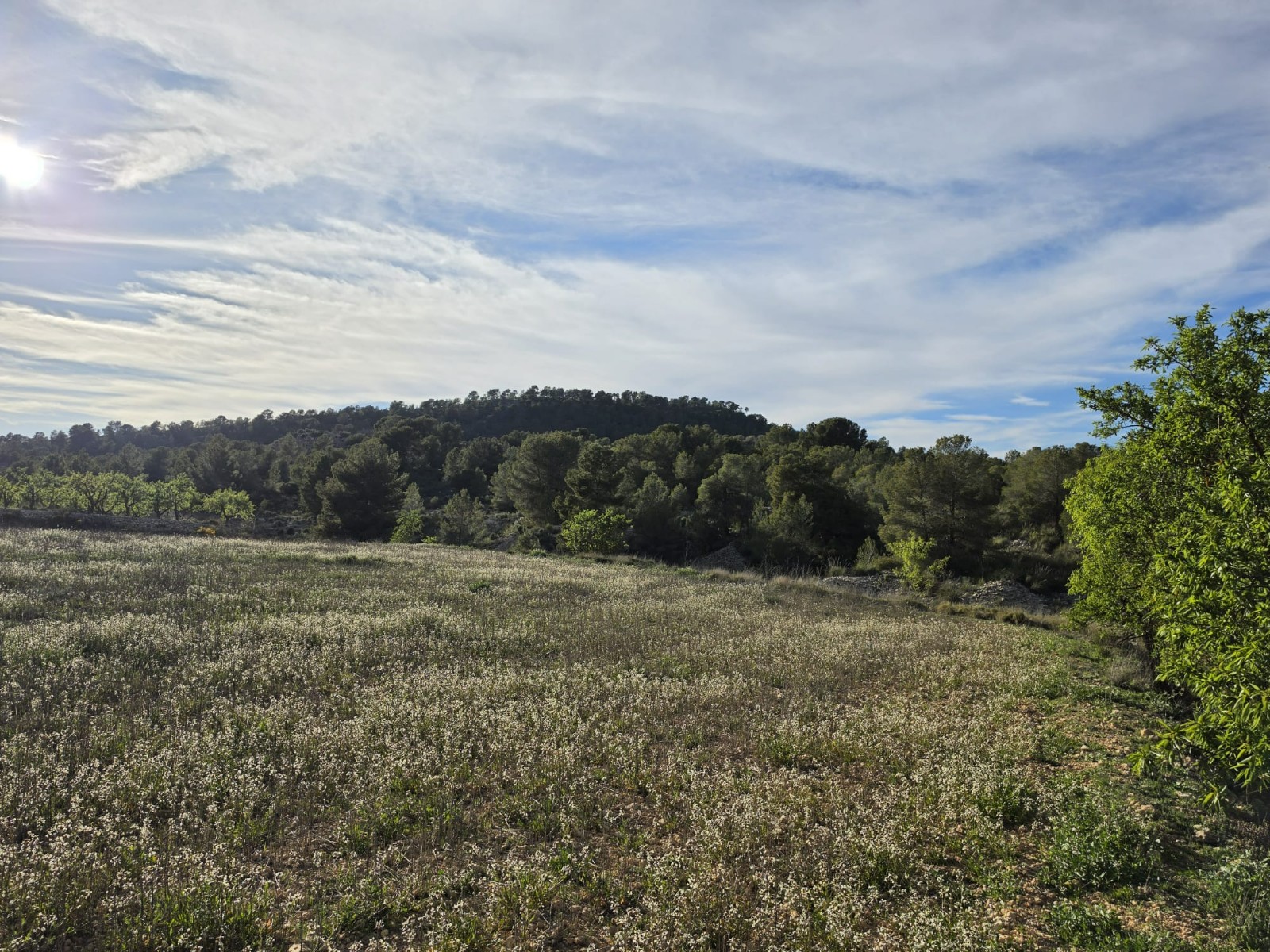Finca en venta en Monóvarmonóver