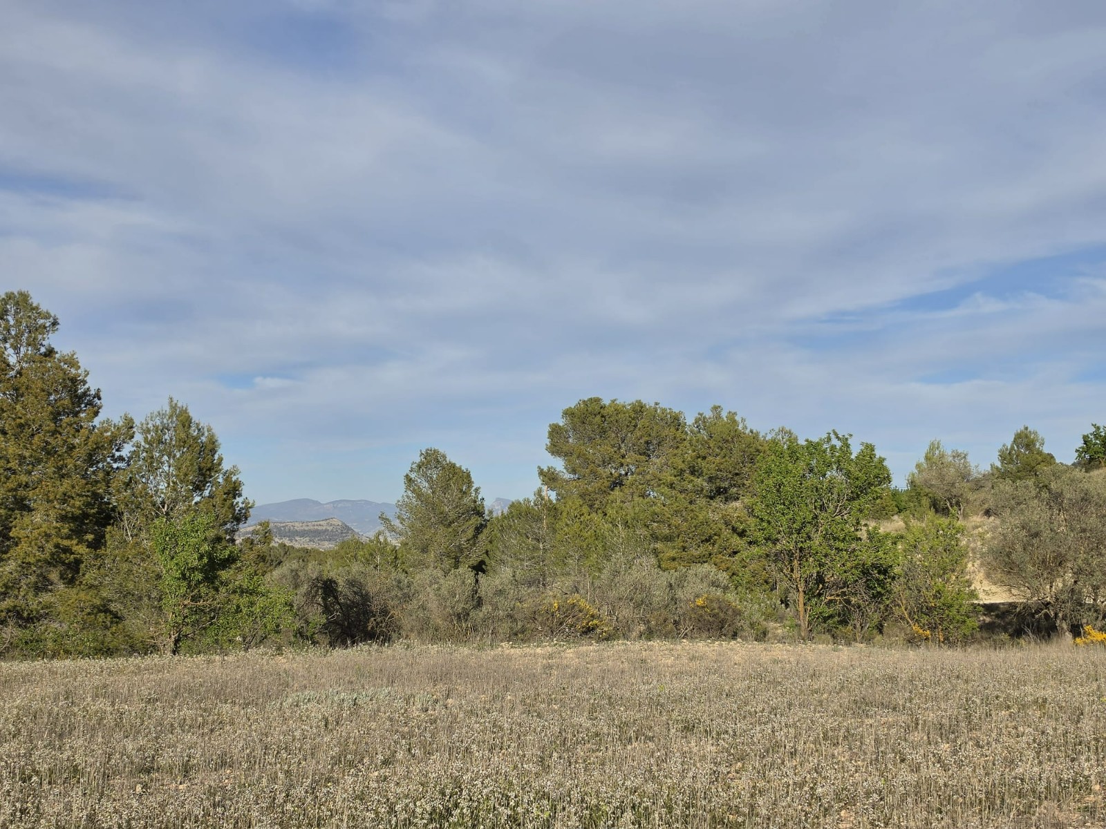 Finca en venta en Monóvarmonóver