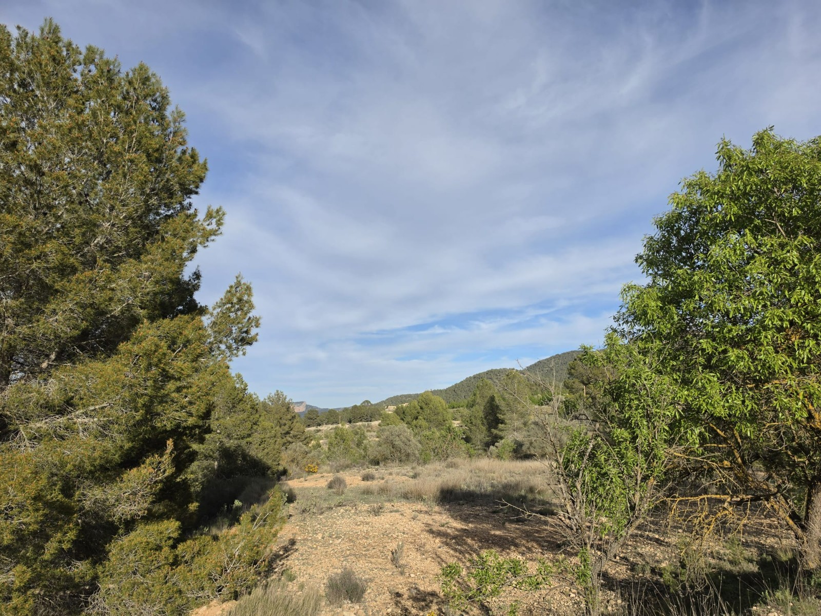 Finca en venta en Monóvarmonóver