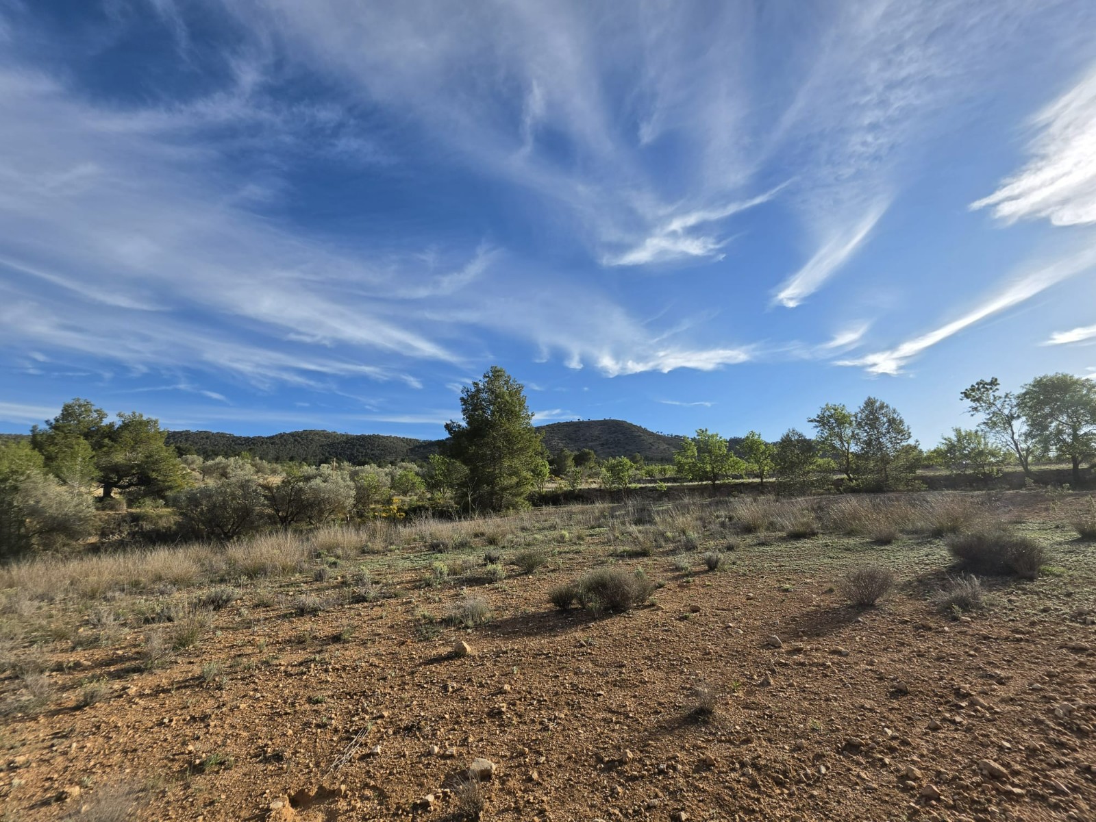 Finca en venta en Monóvarmonóver