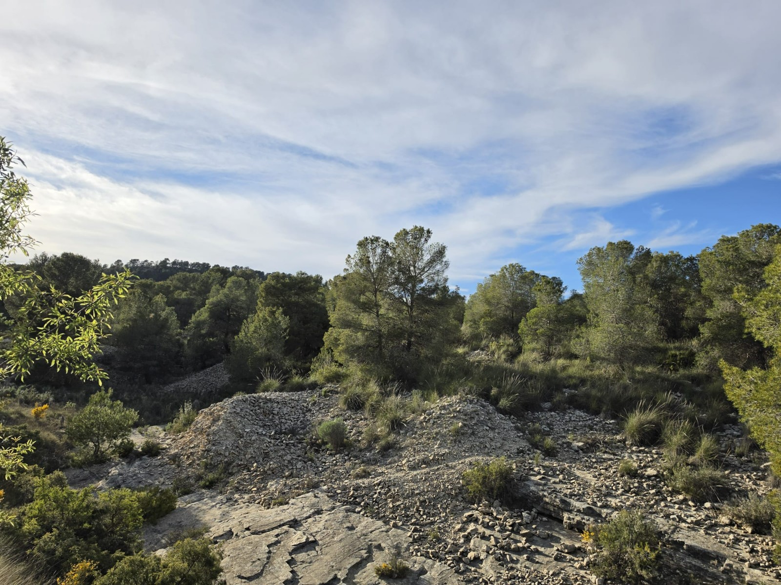 Finca en venta en Monóvarmonóver