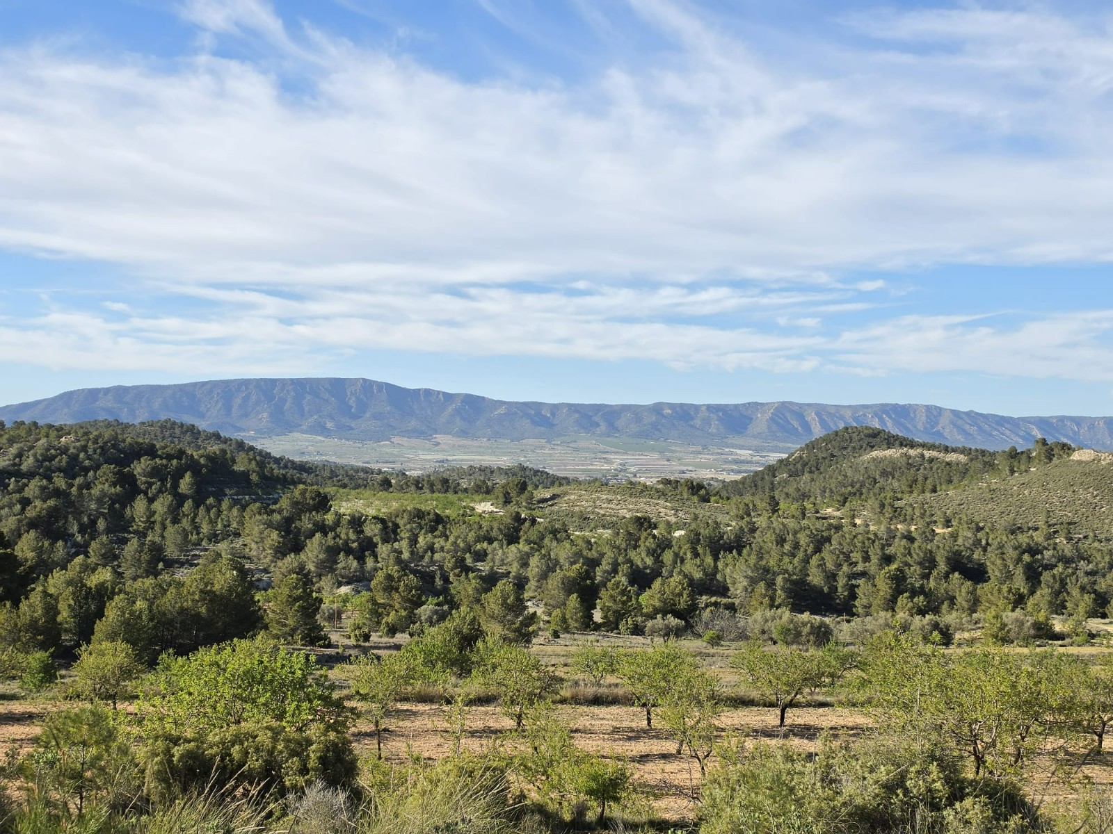 Finca for sale in Monóvarmonóver, Alicante, Spain