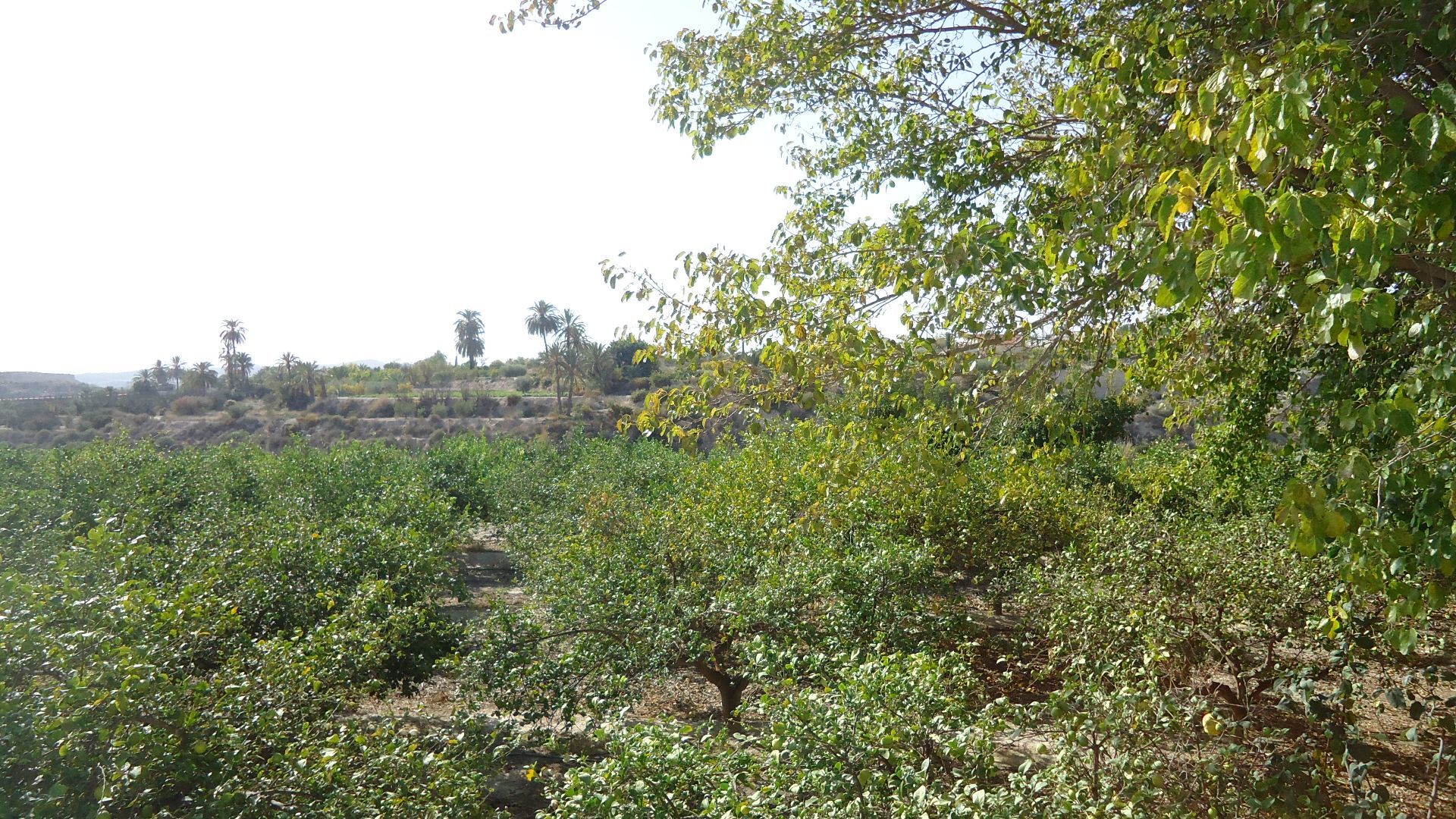 Villa en venta en Abanilla
