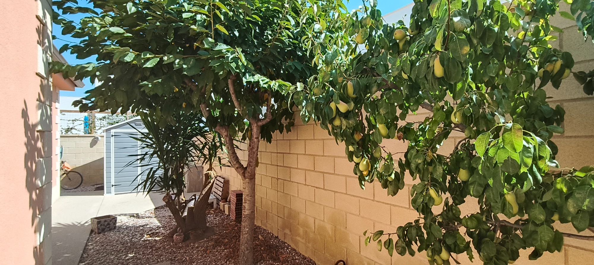 Villa en venta en La Romana