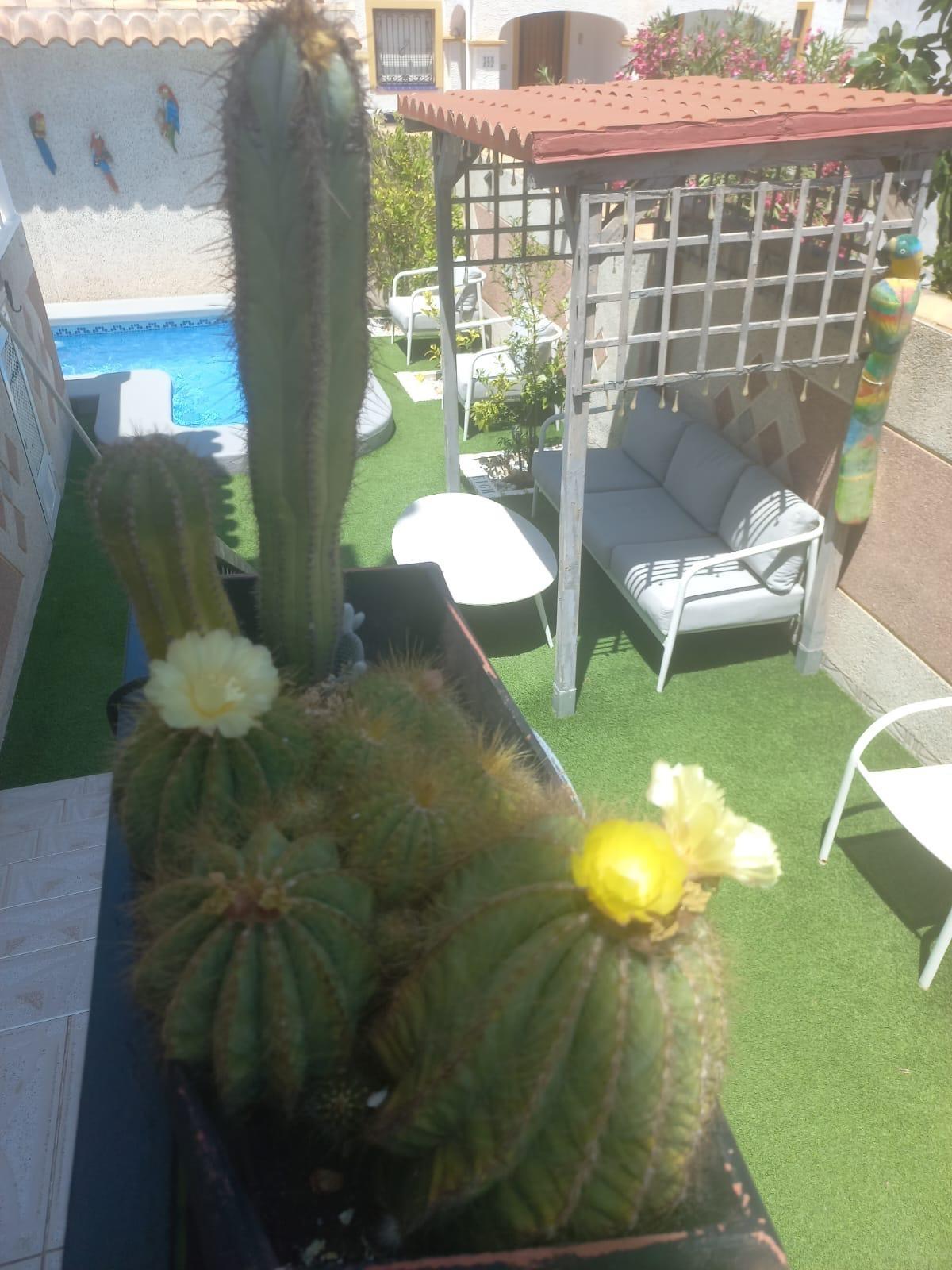 Town House en venta en Orihuela Costa