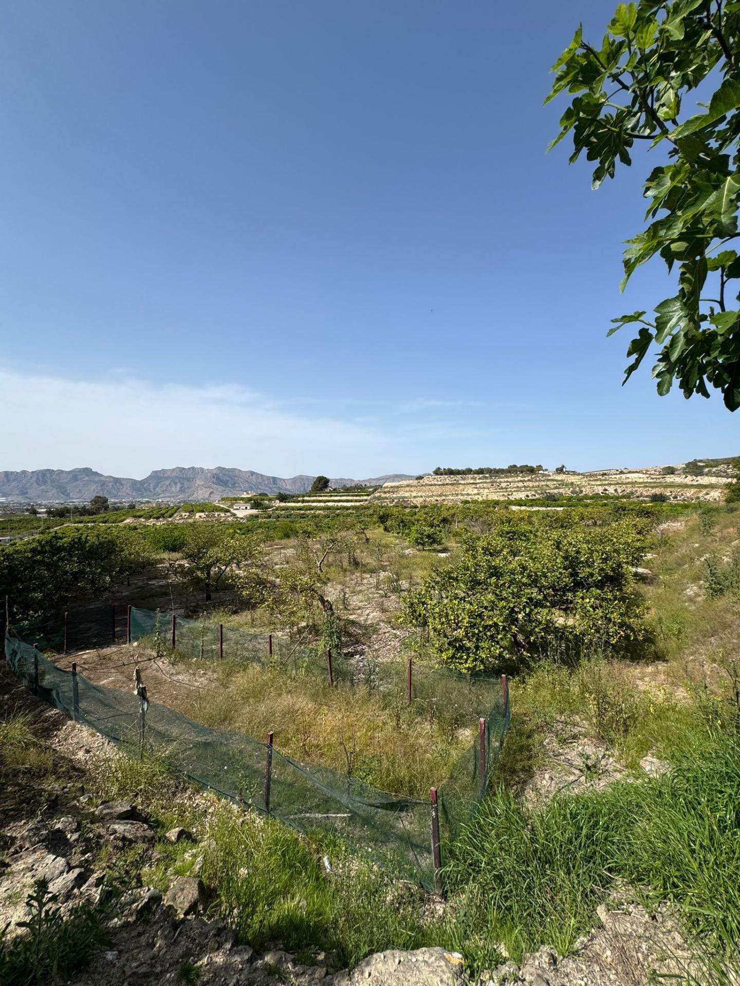 Finca en venta en Orihuela