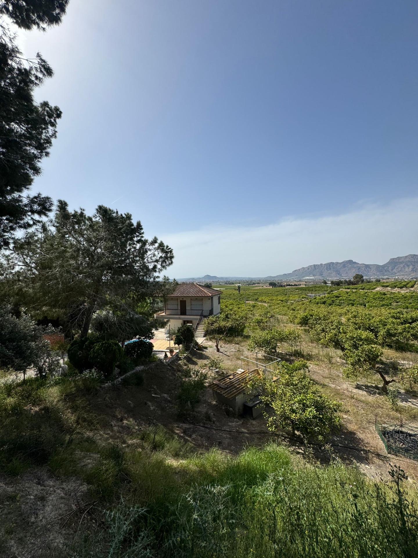 Finca en venta en Orihuela